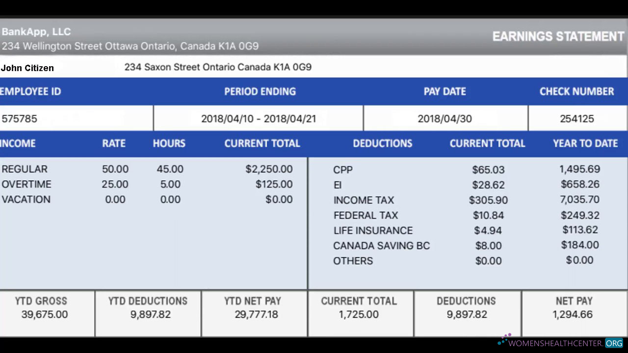 Download CANADA BANKAPP LLC earning statement in excel and PDF formats Photoshop template